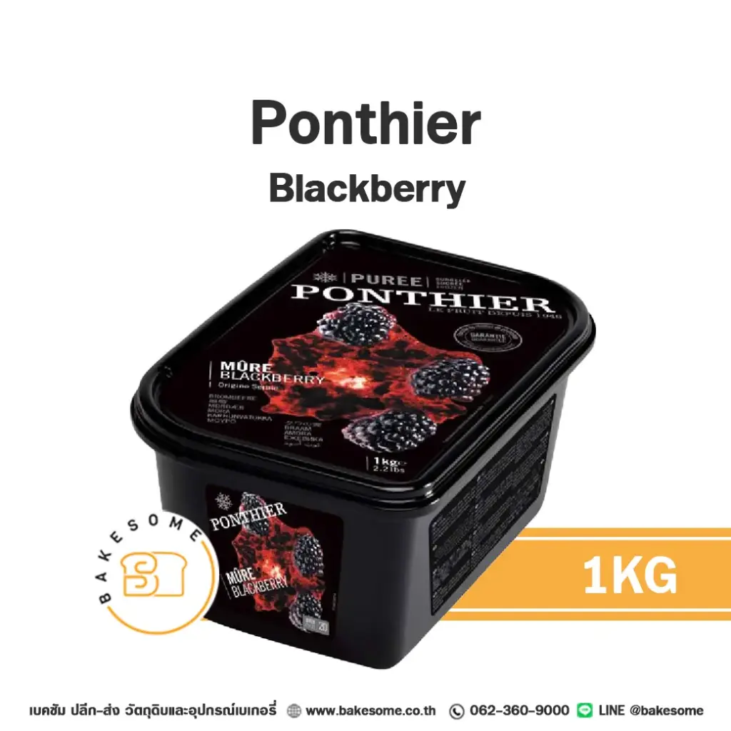 PONTHIER Puree Blackberry 1KG