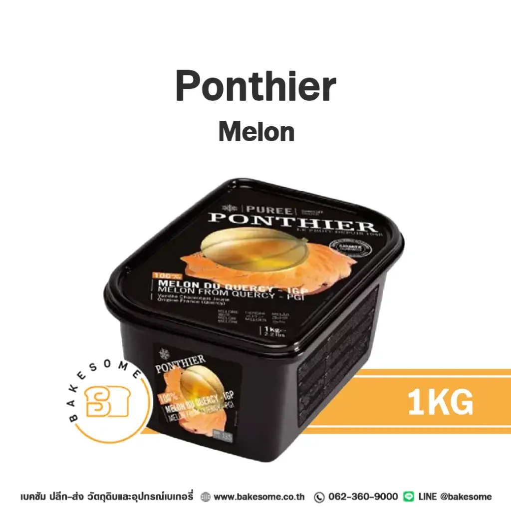 PONTHIER Puree Melon 1KG