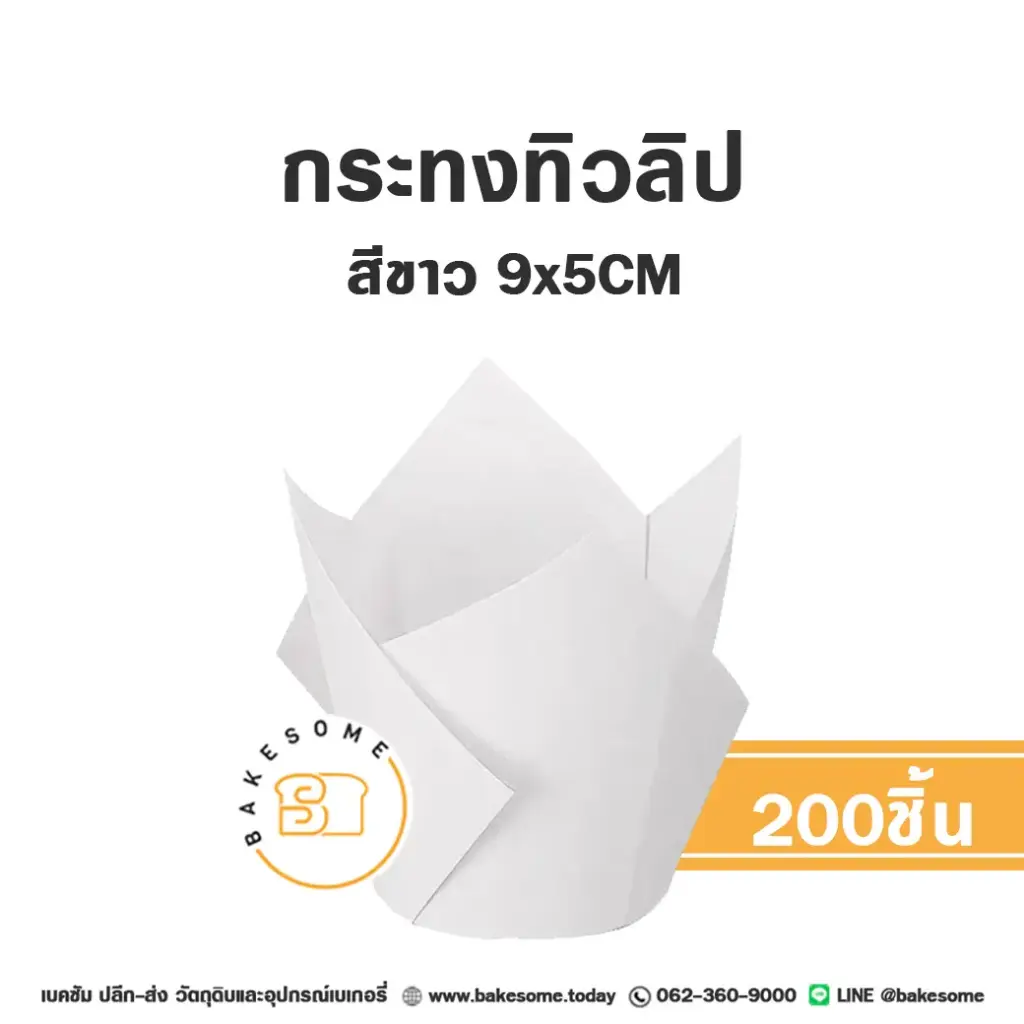 กระทงทิวลิป สีขาว (200ชิ้น/แพค)