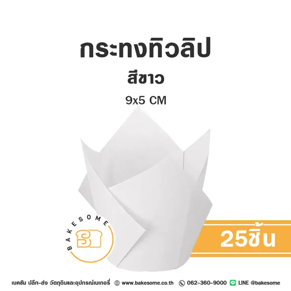กระทงทิวลิป สีขาว (25ชิ้น/แพค)