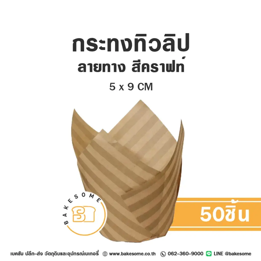 กระทงทิวลิป ลายทาง สีน้ำตาลอ่อน (50ชิ้น/แพค)