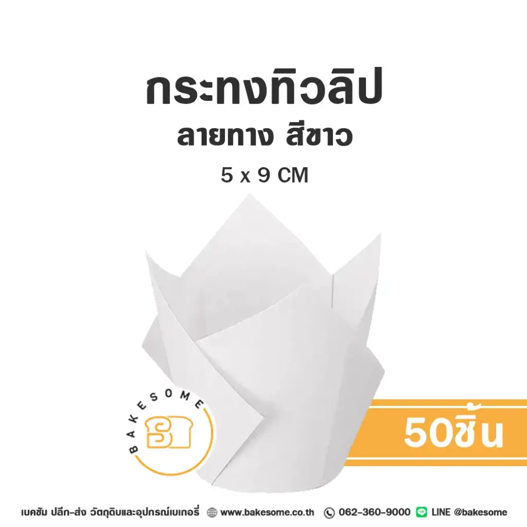 กระทงทิวลิป สีขาว (50ชิ้น/แพค)