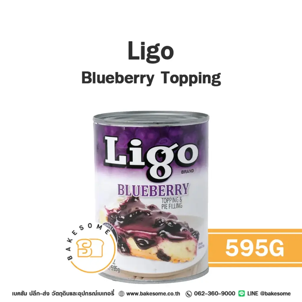 LIGO Blueberry  Topping 595G