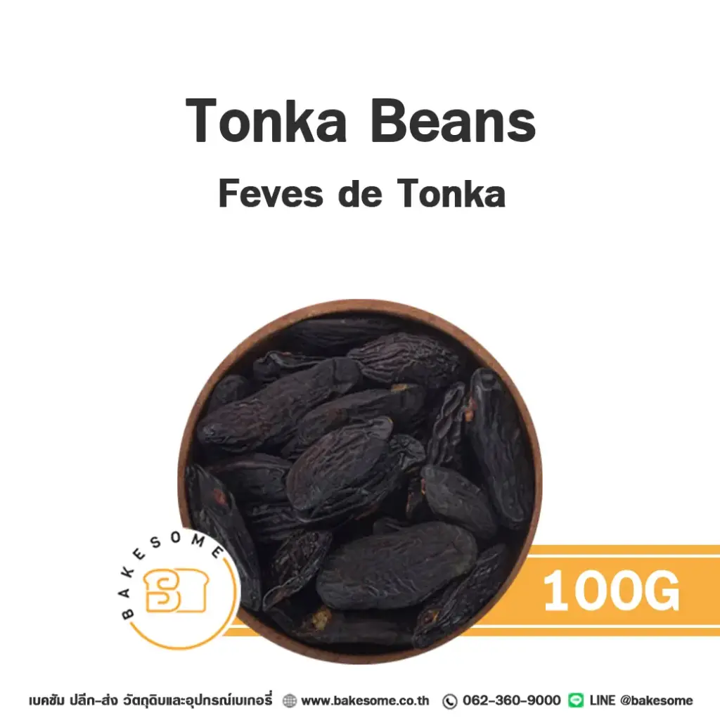 TERRE EXOTIQUE Tonka Beans 100G