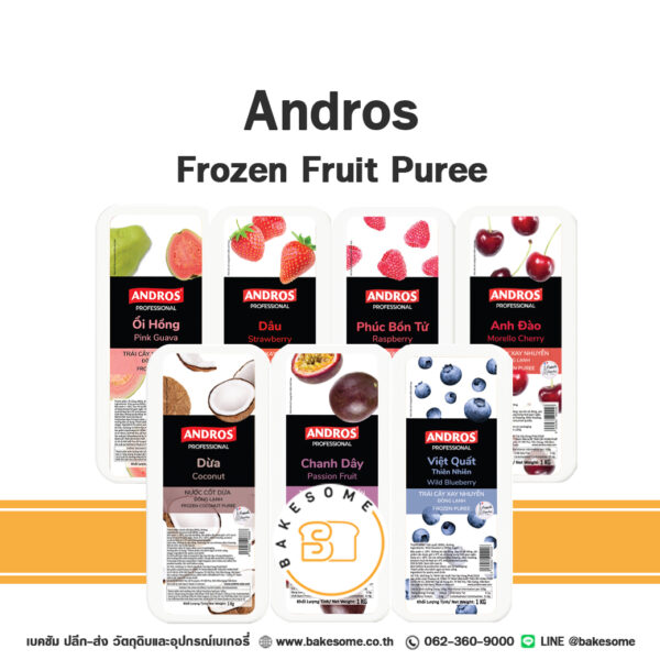 Andros Puree แอนโดรส เพียวเร่ พูเร่ ผลไม้บดแช่แข็ง