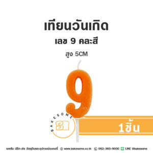 เทียนวันเกิด เทียนตัวเลข 9 (คละสี)